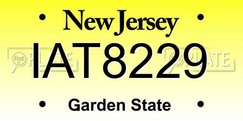 IAT8229 New Jersey License Plate