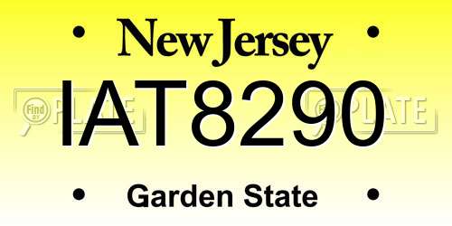 IAT8290 New Jersey License Plate