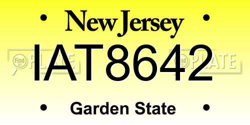 IAT8642 New Jersey License Plate