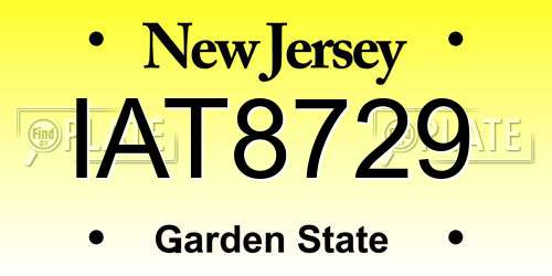 IAT8729 New Jersey License Plate