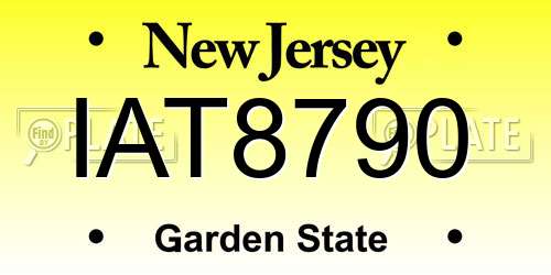 IAT8790 New Jersey License Plate