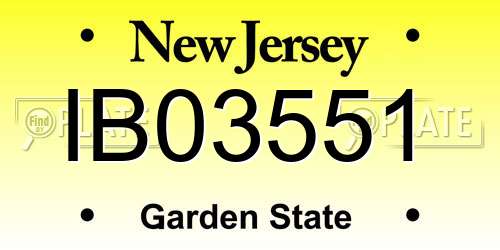 IB03551 New Jersey License Plate