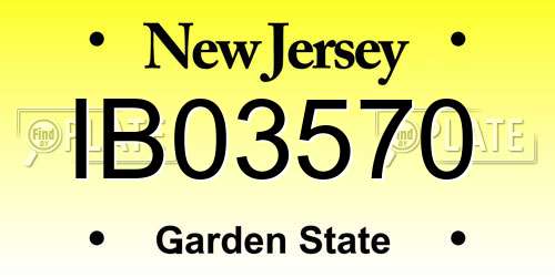 IB03570 New Jersey License Plate