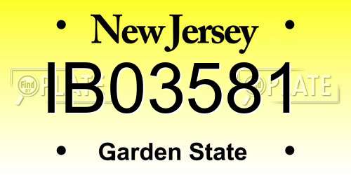 IB03581 New Jersey License Plate