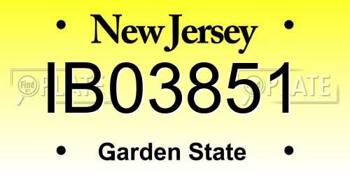 IB03851 New Jersey License Plate