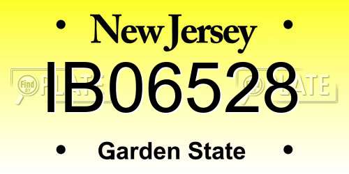 IB06528 New Jersey License Plate