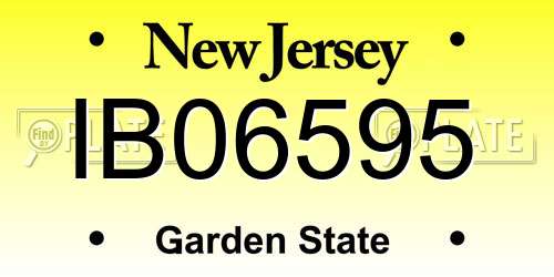 IB06595 New Jersey License Plate