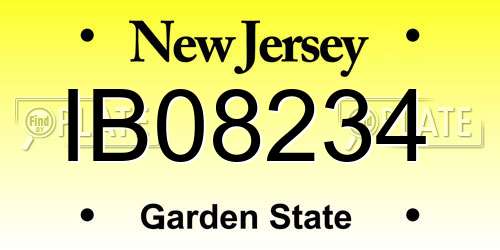 IB08234 New Jersey License Plate