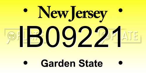 IB09221 New Jersey License Plate