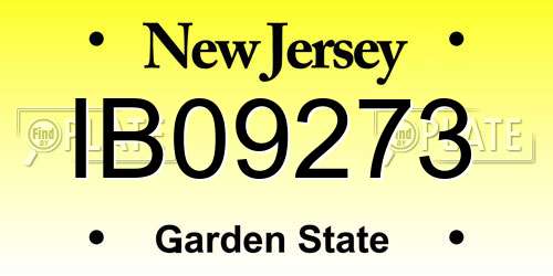 IB09273 New Jersey License Plate