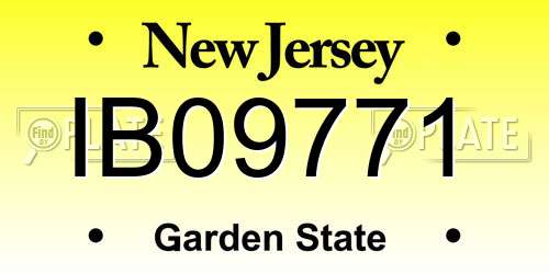 IB09771 New Jersey License Plate