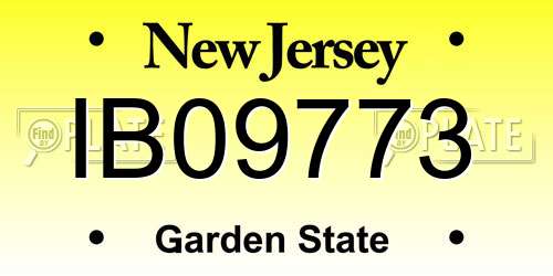 IB09773 New Jersey License Plate