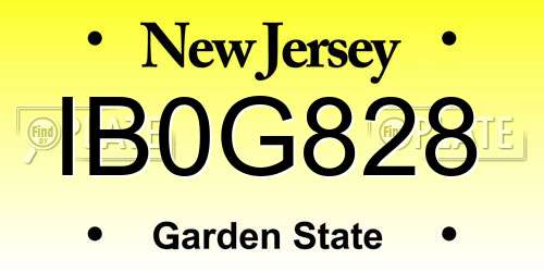 IB0G828 New Jersey License Plate