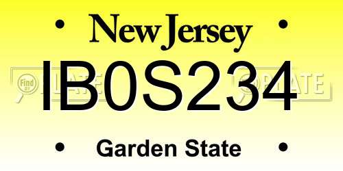IB0S234 New Jersey License Plate