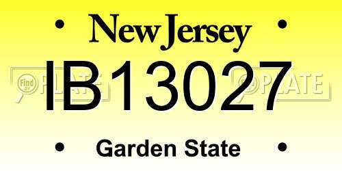 IB13027 New Jersey License Plate