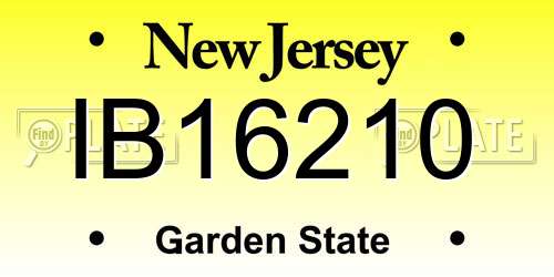 IB16210 New Jersey License Plate
