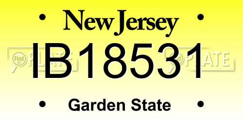 IB18531 New Jersey License Plate