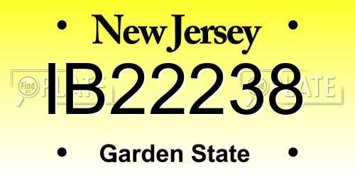 IB22238 New Jersey License Plate