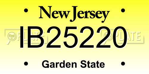 IB25220 New Jersey License Plate