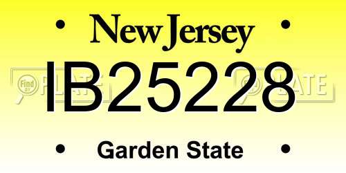 IB25228 New Jersey License Plate