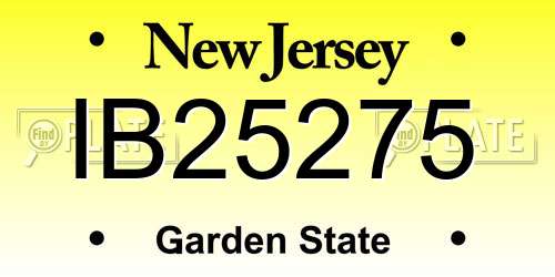 IB25275 New Jersey License Plate