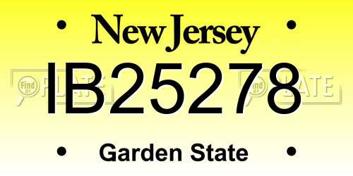 IB25278 New Jersey License Plate