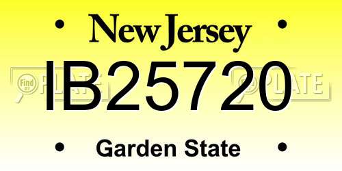 IB25720 New Jersey License Plate