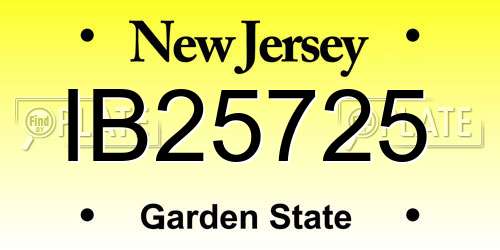 IB25725 New Jersey License Plate