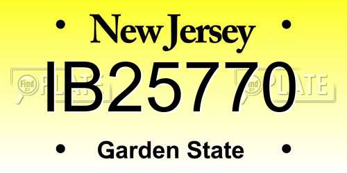 IB25770 New Jersey License Plate