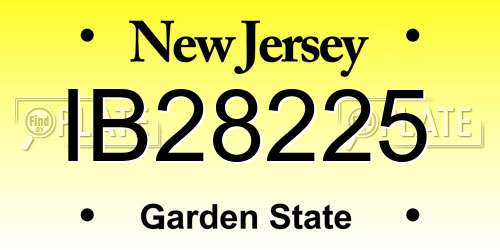 IB28225 New Jersey License Plate