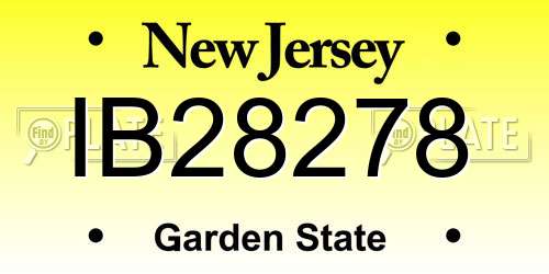 IB28278 New Jersey License Plate