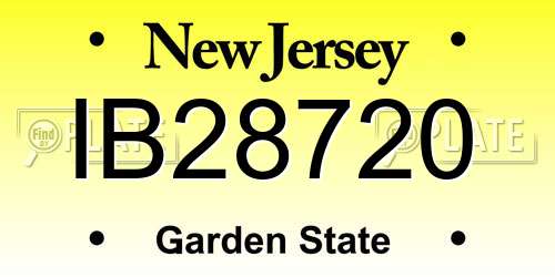IB28720 New Jersey License Plate