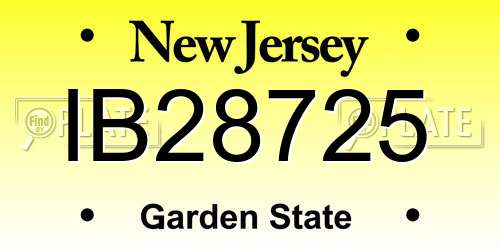 IB28725 New Jersey License Plate