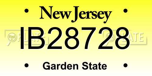 IB28728 New Jersey License Plate