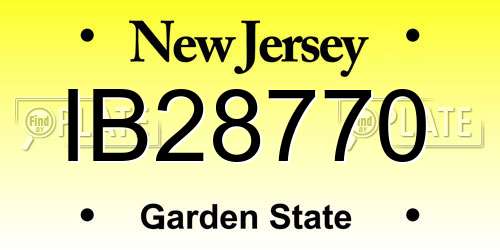 IB28770 New Jersey License Plate