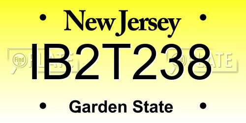 IB2T238 New Jersey License Plate
