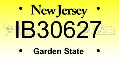 IB30627 New Jersey License Plate