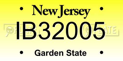 IB32005 New Jersey License Plate