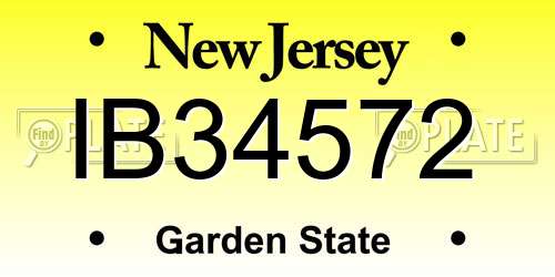 IB34572 New Jersey License Plate