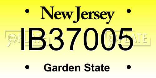 IB37005 New Jersey License Plate