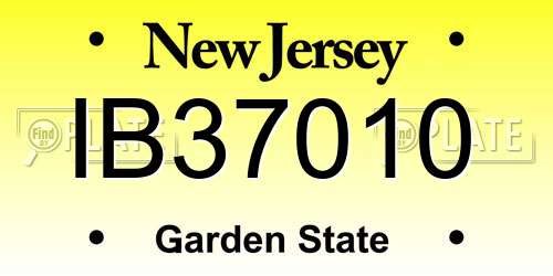 IB37010 New Jersey License Plate