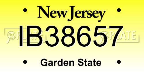 IB38657 New Jersey License Plate