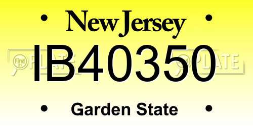 IB40350 New Jersey License Plate