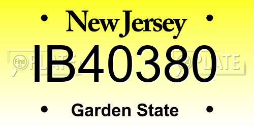 IB40380 New Jersey License Plate