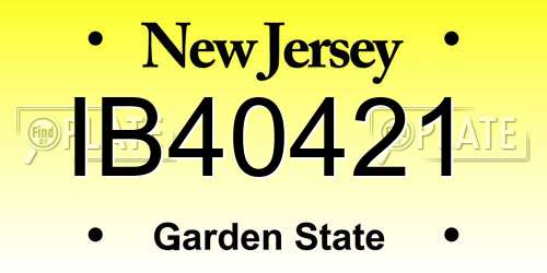 IB40421 New Jersey License Plate