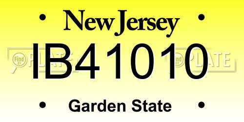 IB41010 New Jersey License Plate