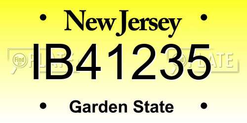 IB41235 New Jersey License Plate