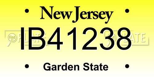 IB41238 New Jersey License Plate