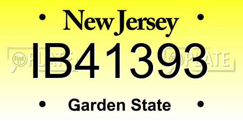IB41393 New Jersey License Plate