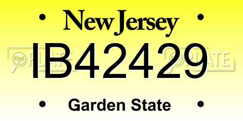 IB42429 New Jersey License Plate